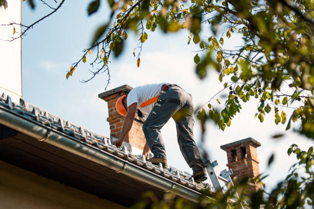 Best Gutter Installation and Roofing  in Warner Robins, GA