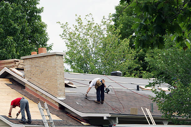 Best Roof Repair Services  in Warner Robins, GA