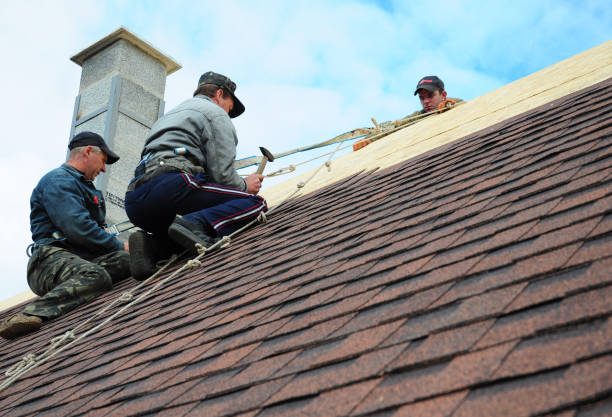 Best Roof Waterproofing Services  in Warner Robins, GA